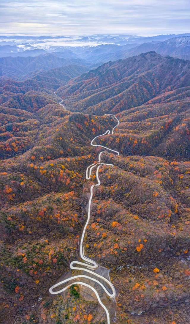 金秋十月秦岭风景廊道万山红遍,留坝红叶奇幻游拉开帷幕