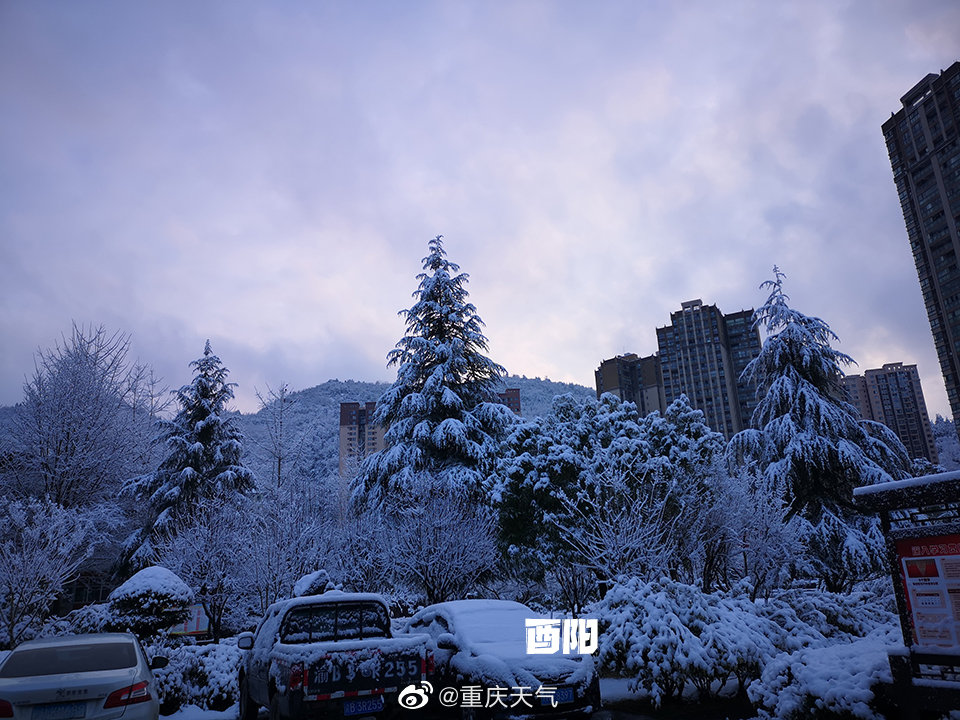 6日07时-7日07时,重庆黔江区,武隆区,酉阳县,秀山县出现了中到大雪