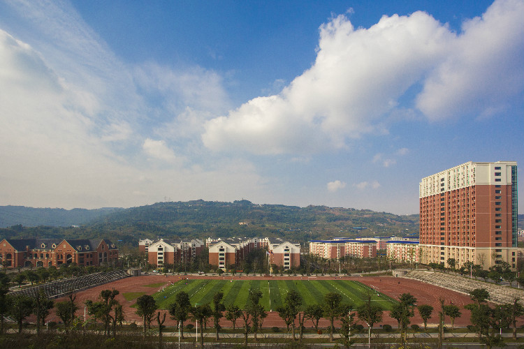 重庆教育管理学校,重庆文化艺术职业学院,重庆艺术学校,华为ict学院