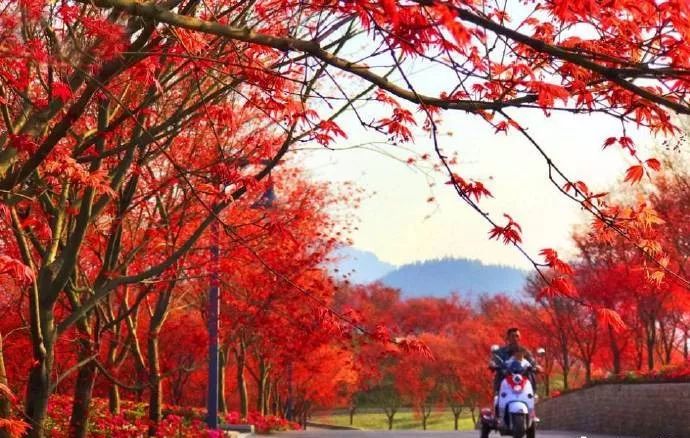 3月8日,南湖多彩植物园开园!女性还免费!