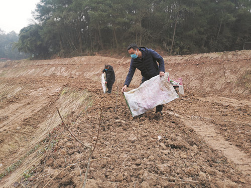 土地整治完毕,村民为农田施肥.