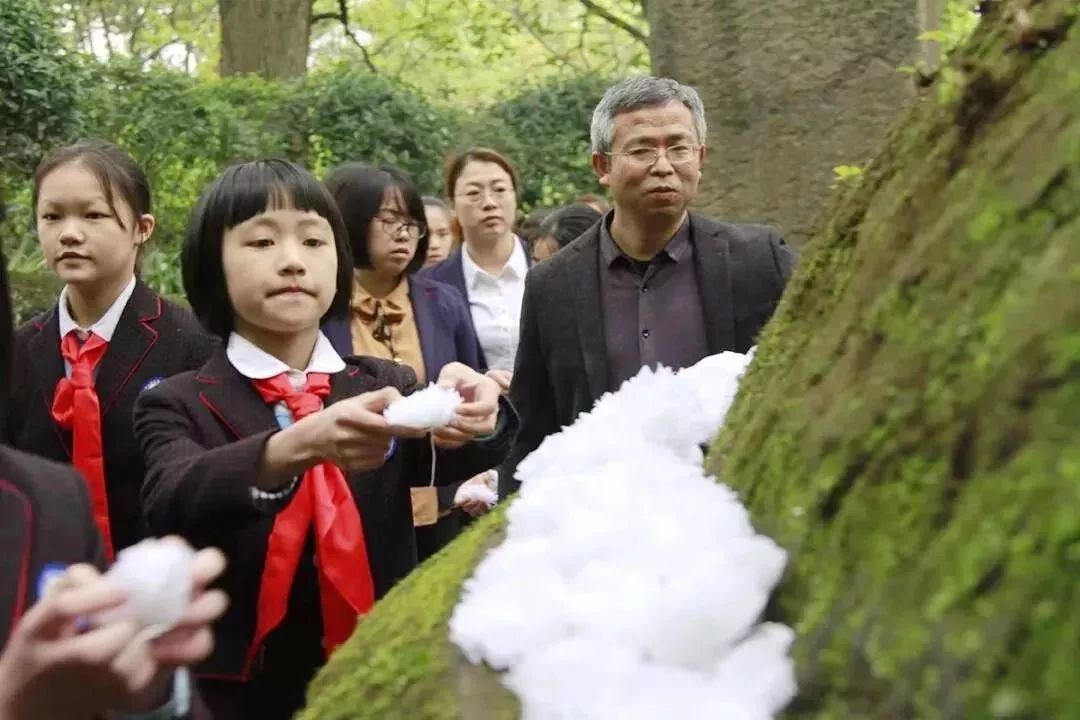 北碚区华光小学师生前往张自忠将军墓扫墓 北碚区梅花山小学校