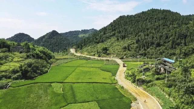 静观镇新屋基段