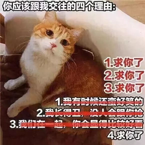 玩一把"舔狗"手机恋爱游戏,你就会觉得当个人挺好的