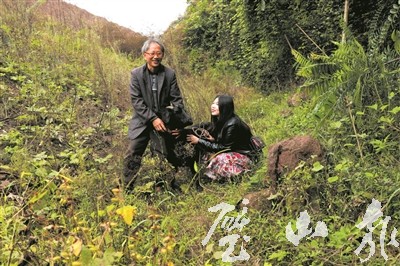 璧山青杠人口_重庆璧山青杠(2)