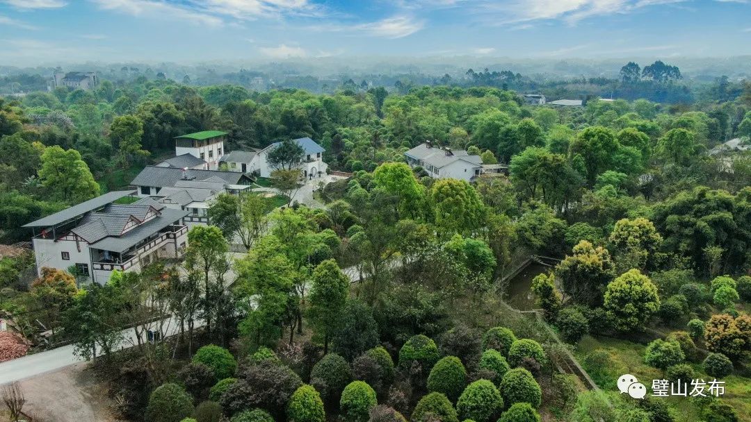 璧山区11个村上榜"重庆市2019年绿色示范村"