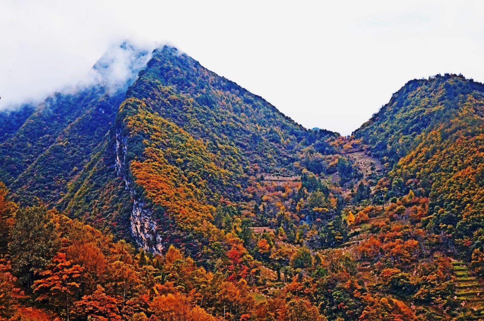 重庆城口:举目之处皆风景