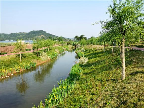 大足"硬核"守护一泓清水 河库再现碧水清波