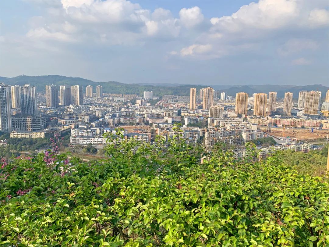 南山植物园 南山公园——大足城区赏花踏青的好去处!