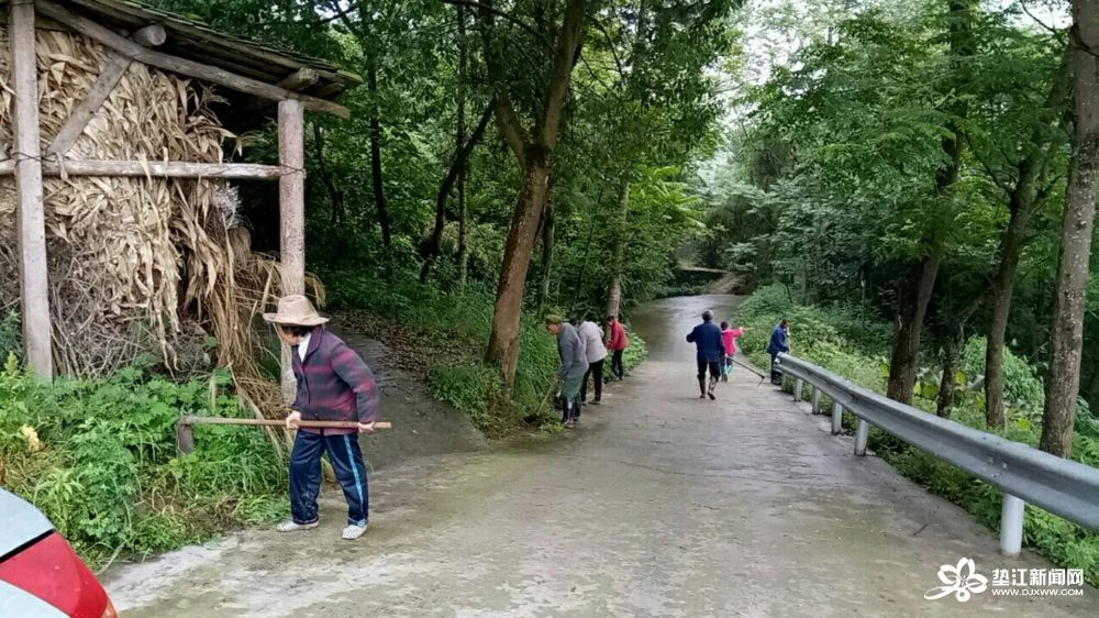 近日,普顺镇组织开展了农村道路清扫活动.