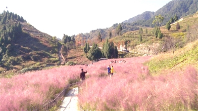 走约起去垫江看花海