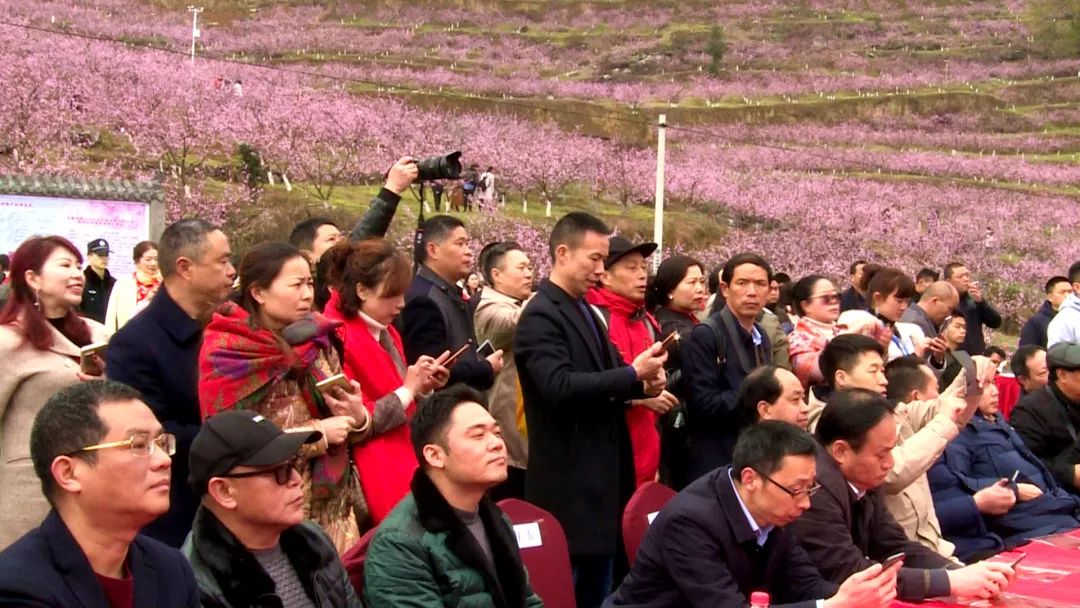 丰都仙女湖镇首届山磴坡桃花节开幕活动将持续到4月5日