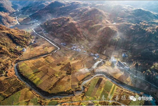 长安土家族乡:通往脱贫路径上 邀"药"致富奔小康