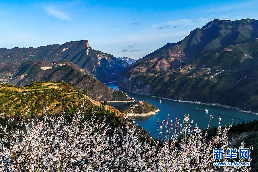 定格三峡的春天:锦绣山河处处诗