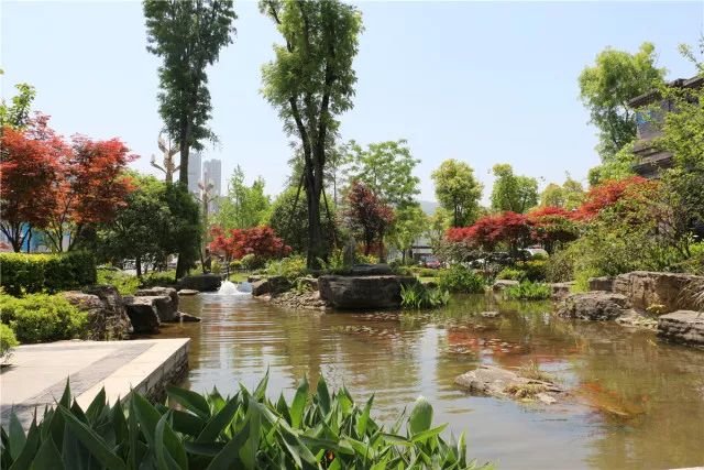 2015年,江东滨江公园开放后,不仅为江东滨江大道增添了一道靓丽风景