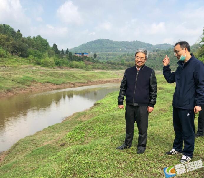 涪陵区领导带队巡河时强调加大巡河力度履行河长职责