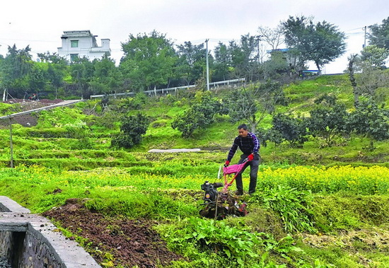 春雨贵如油 村民耕地育种忙