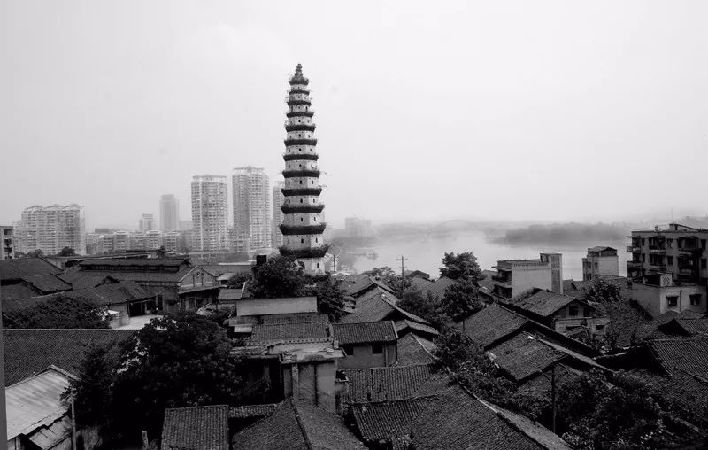 南津街老码头的三棵树(唐坤华摄于2009.1.