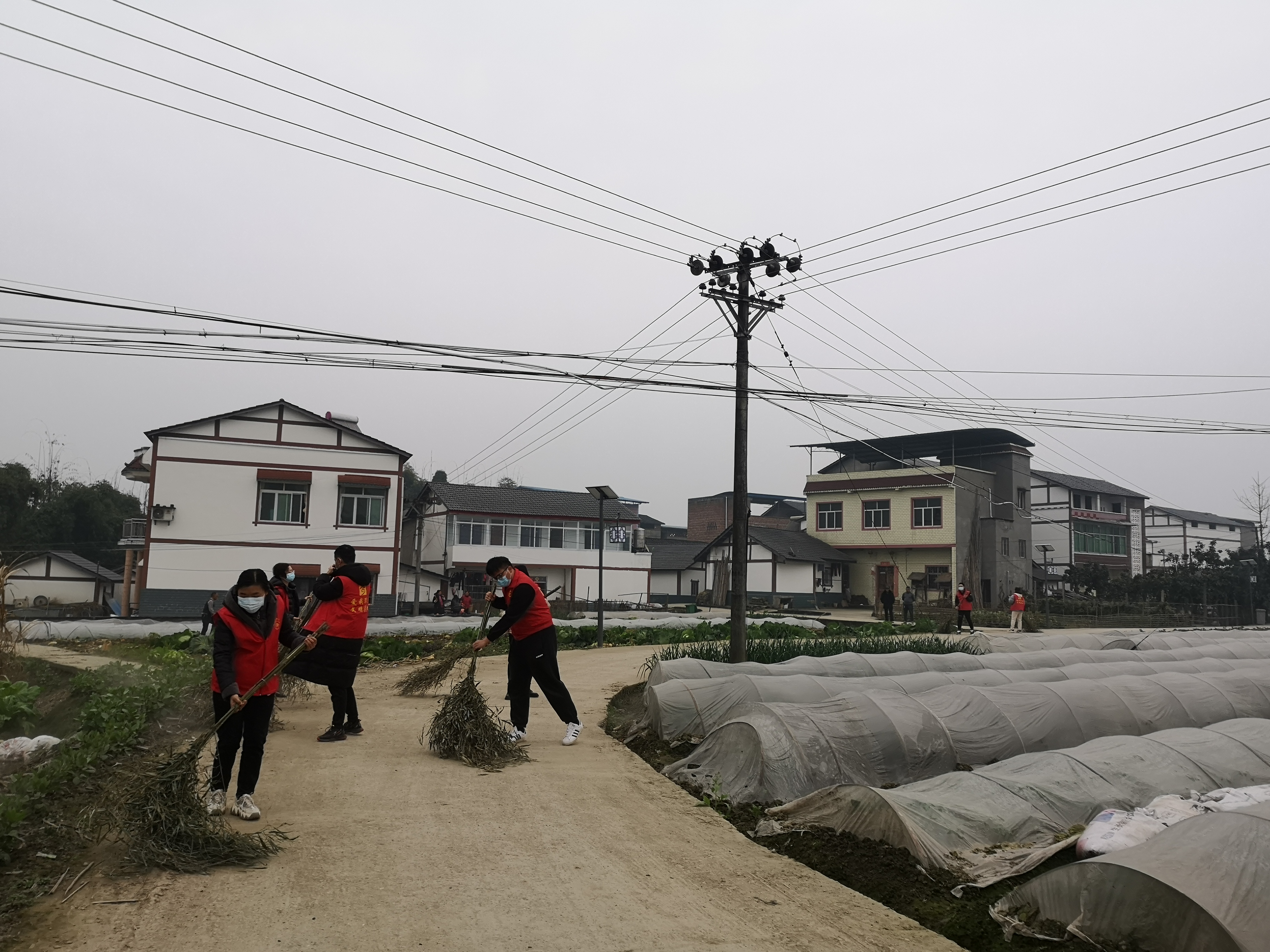 渭沱镇开展"我为乡村振兴示范建设添光彩"主题党日活动