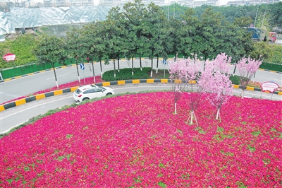 一路春色满目新 一路繁花处处景