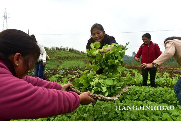 "近日,区科技特派员曾维超组织油溪镇桥头村村民,部分人大代表共40余