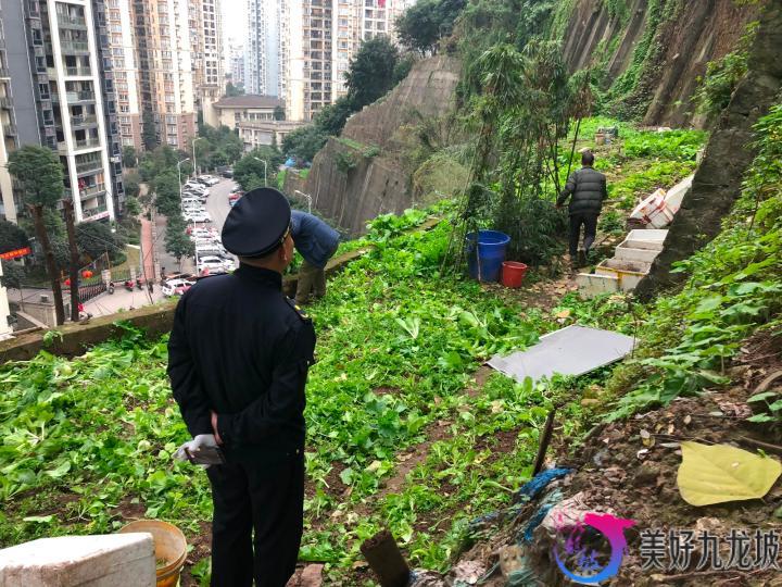 谢家湾街道:整治"都市菜园子",让绿还于民