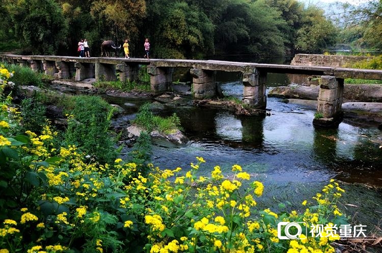 九龙坡:跳磴河畔芦絮飞 水清岸绿迎客来