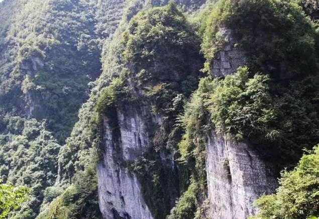 清凉避暑,纵情一夏~开州河堰镇天然空调房等你来!