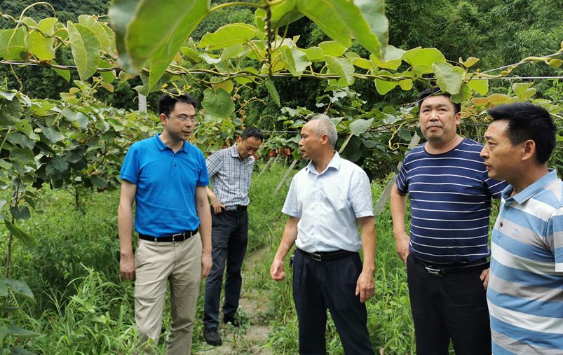 重庆市团校党委书记,校长涂凯赴开州大进镇调研脱贫攻坚工作