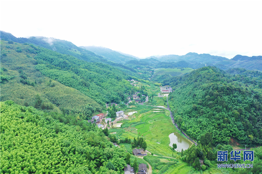 梁平新闻 > 正文 竹山镇猎神村深藏在百里竹海腹地(无人机照片).