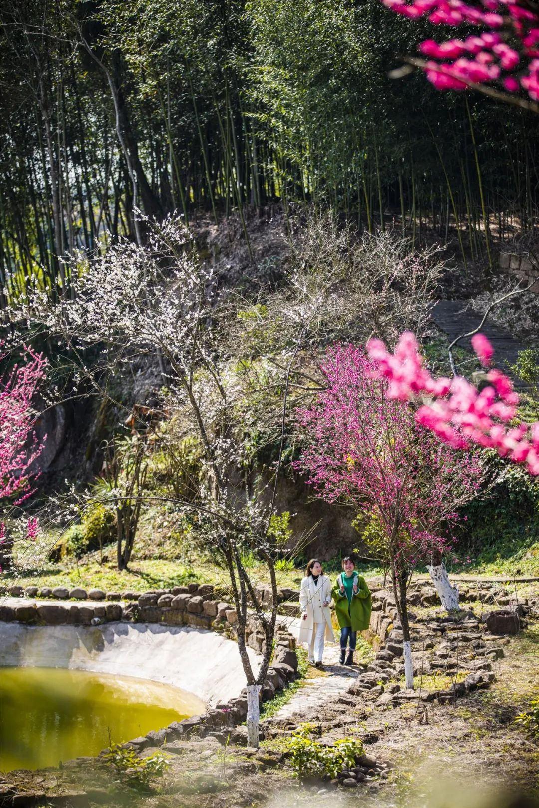 花花花花!n张美图带你遇见梁平唯美春天