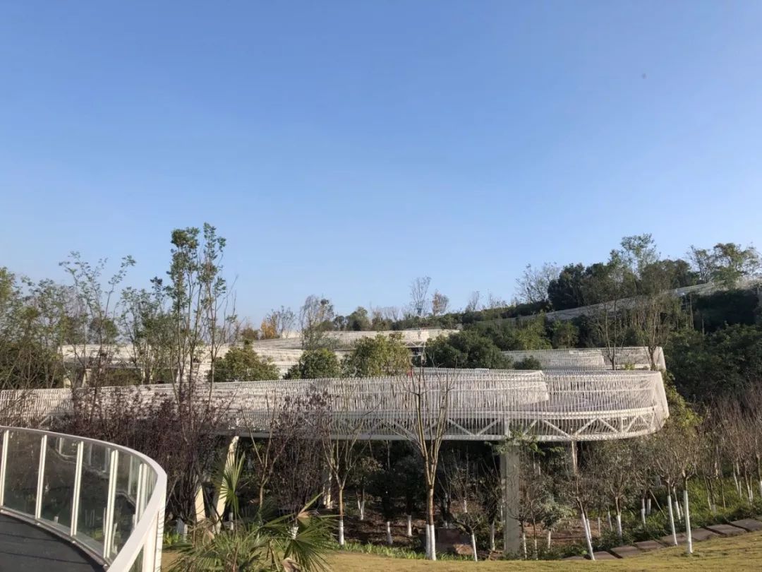 两江鱼复投资公司组织开展礼嘉智慧公园参观活动