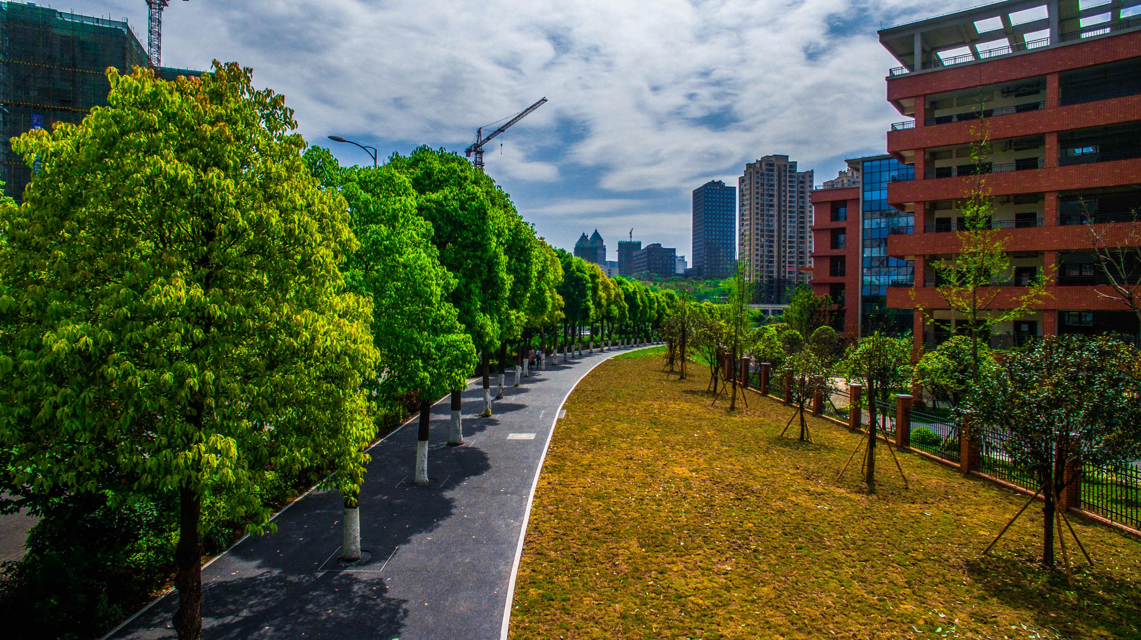 两江新区加快建设美丽宜居公园城市智慧城市