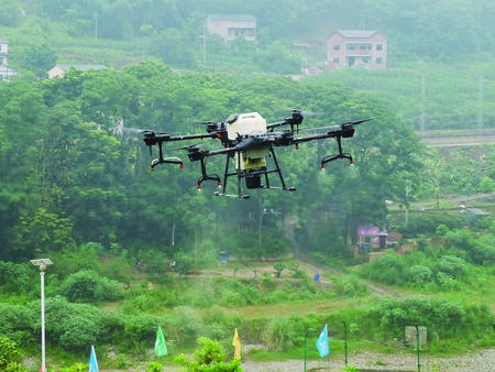 无人机飞防省时省力今年全区无人机植保已超3万亩次