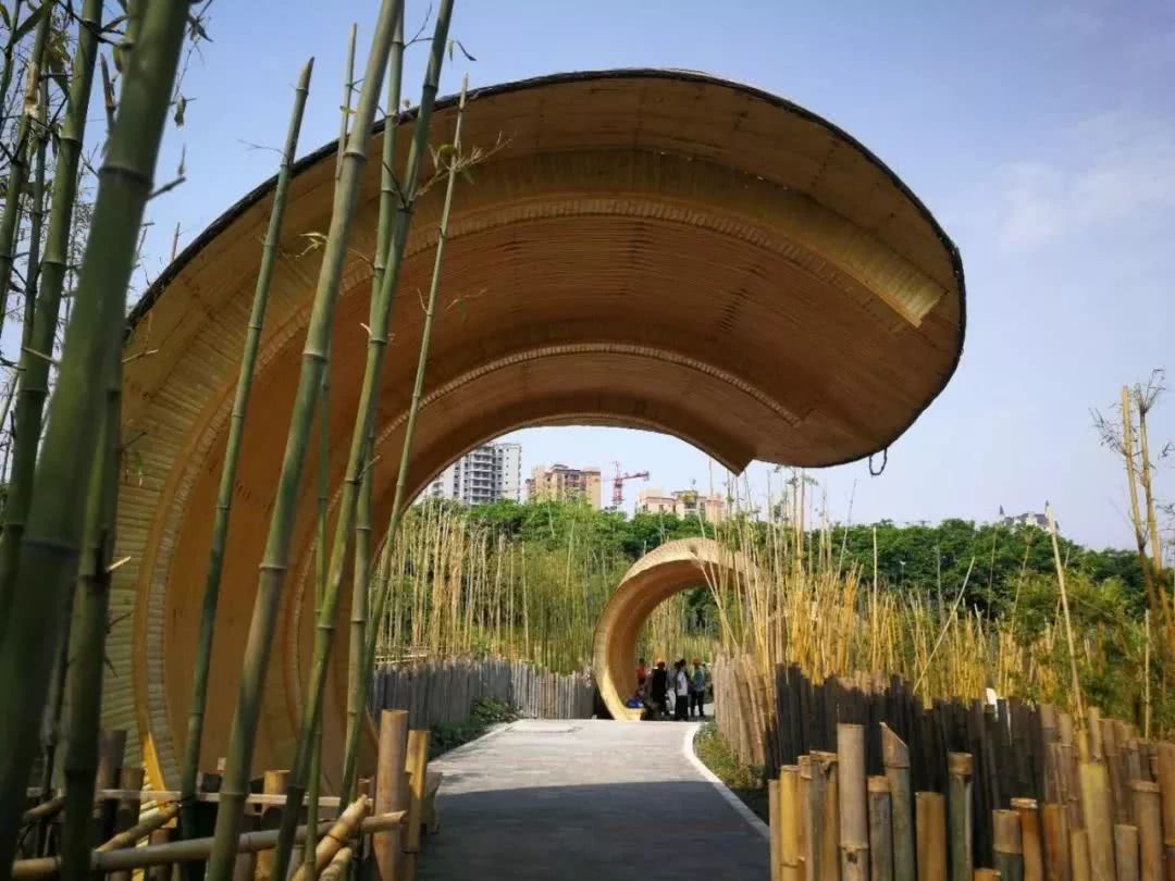 首个大型竹文化公园终于来了!