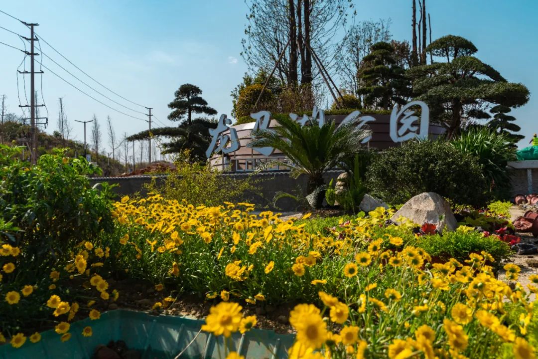 成都东部新区又一网红打卡地!龙马湖公园开园