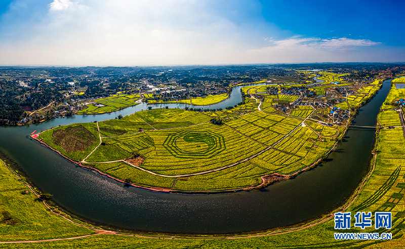 图为重庆潼南崇龛陈抟故里景区油菜花盛开场景.新华网发(张斌 摄)