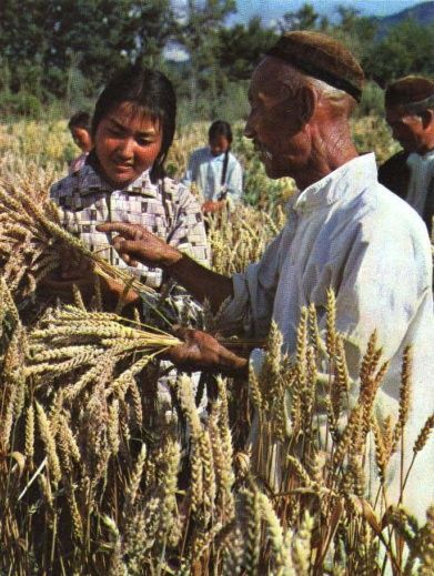 老照片:70年代的新疆伊犁 物产丰富风景优美