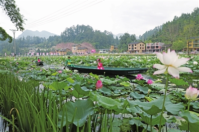 看中国·重庆"采访组一行沿g65(包茂高速)自南川前往武隆沧沟乡大田村