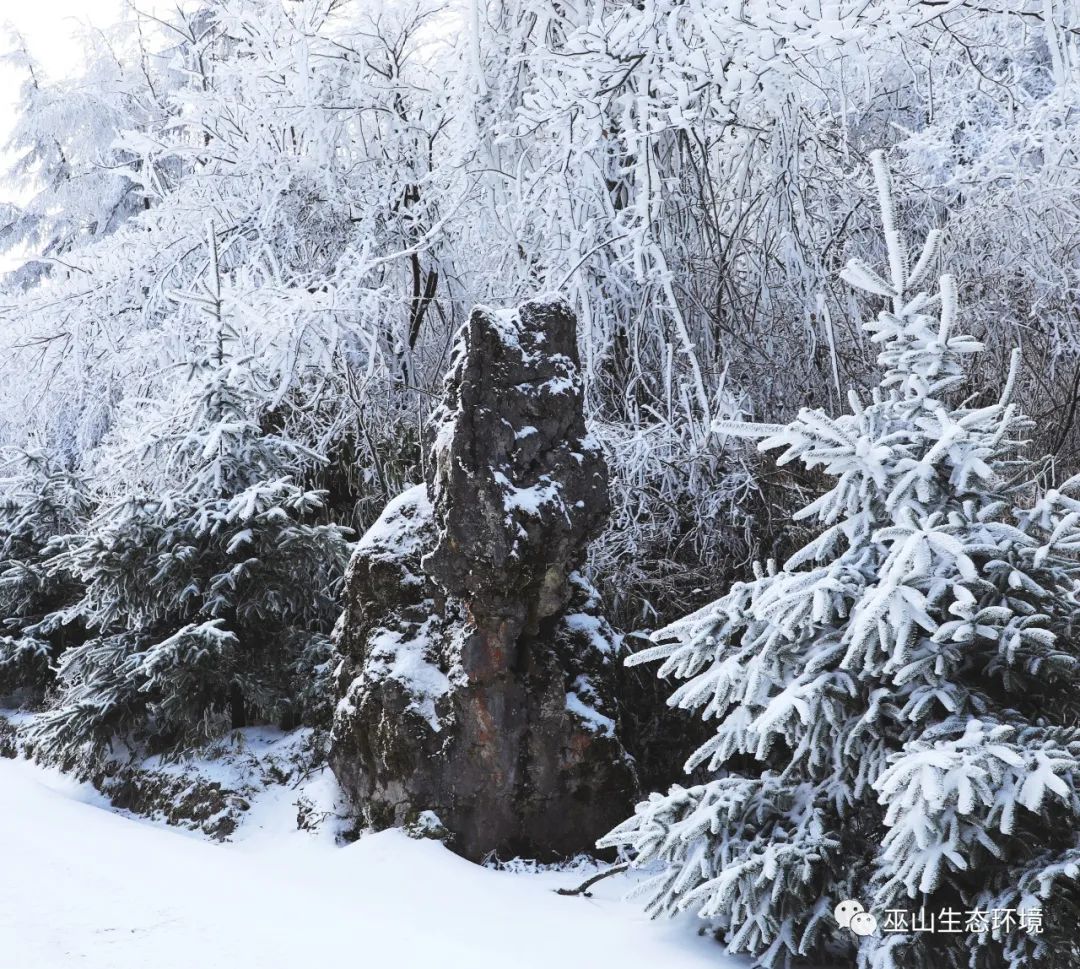 美美巫山梨子坪冬日雪景让人醉