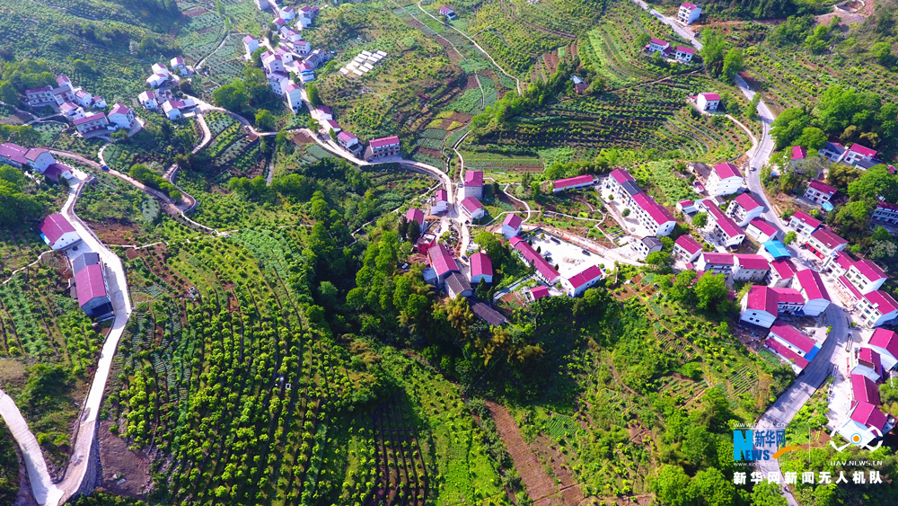 图为无人机航拍三峡腹地美丽乡村木龙村,田园风光无限.