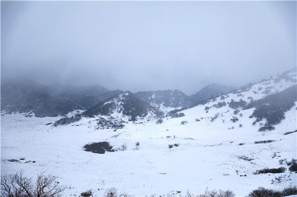 巫溪红池坝雪景美如画