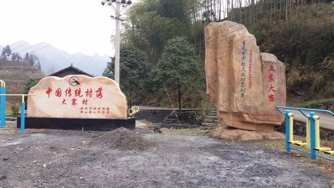 清溪场镇大寨村获评重庆市首批实用性村规划示范村
