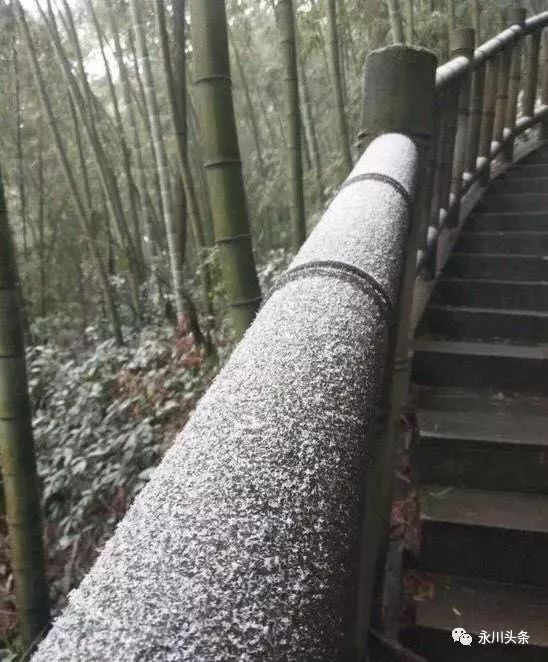 我们就是没见过市面的孩子 不过头条妹儿要告诉大家 永川茶山竹海下!