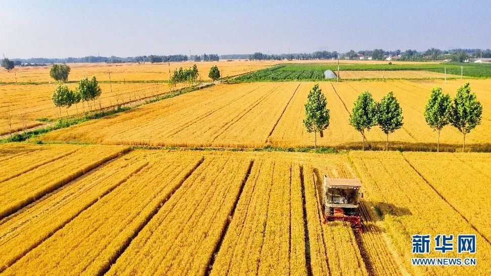 收获70年致敬每一位辛勤的耕耘者