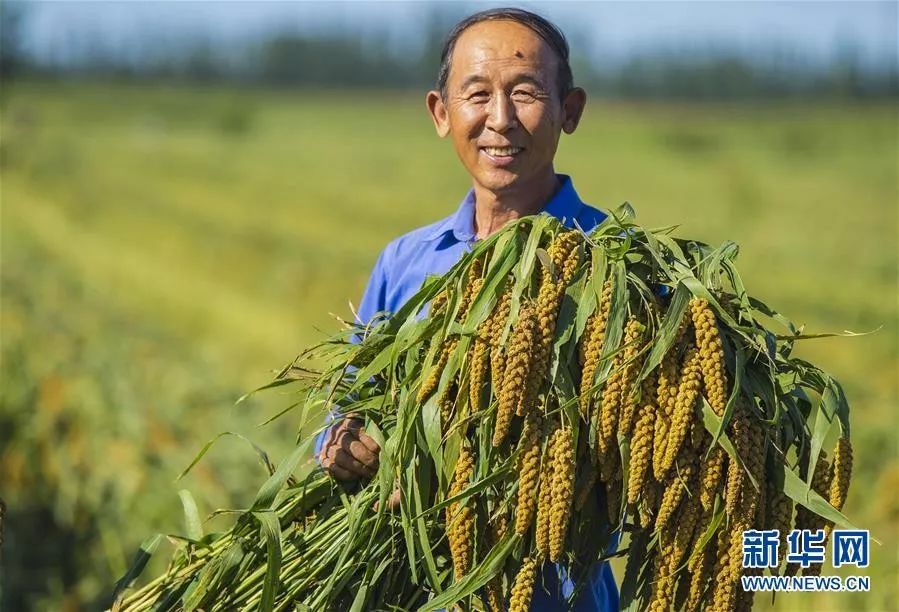 收获70年,致敬每一位辛勤的耕耘者