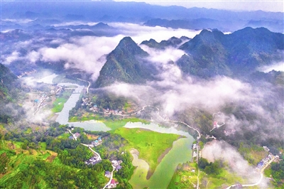 酉阳大溪镇:一座座青山结出致富果