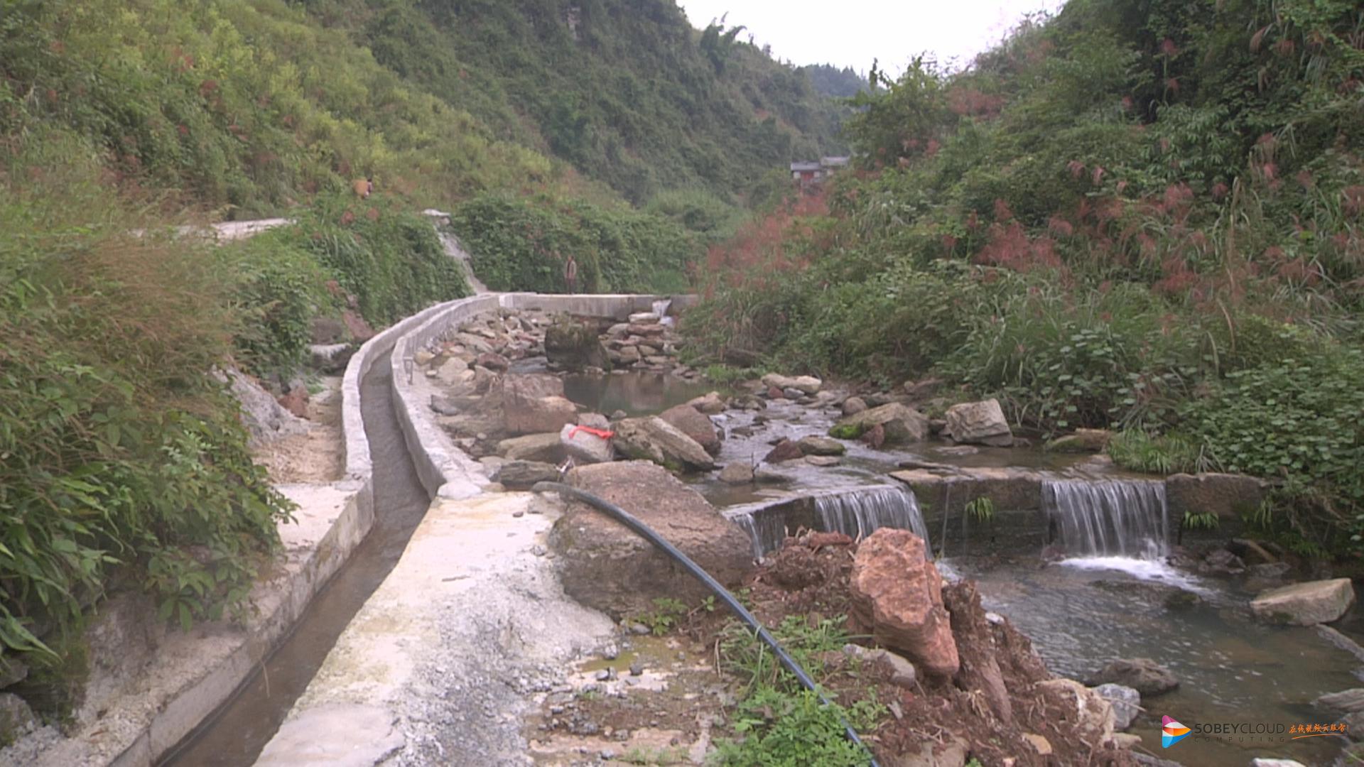 泔溪镇太平村:修建水渠 让"雷响田"变成"活水田"