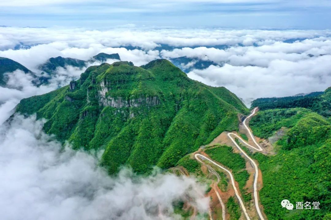 云雾缭绕的山上披红装!这样壮美的景观楠木乡就能见到