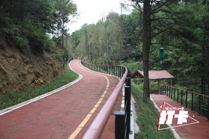 渝北新闻 > 正文 沿着玉峰山临崖步道拾阶而上,一条全长5.2公里,宽2.